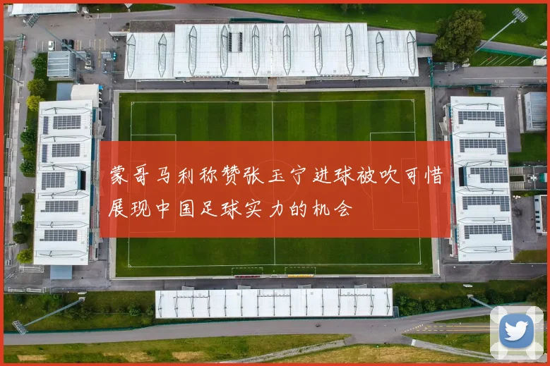 蒙哥马利称赞张玉宁进球被吹可惜展现中国足球实力的机会