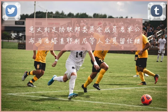 意大利足协联邦委员会成员名单公布马洛塔基耶利尼等人全员留任继续服务